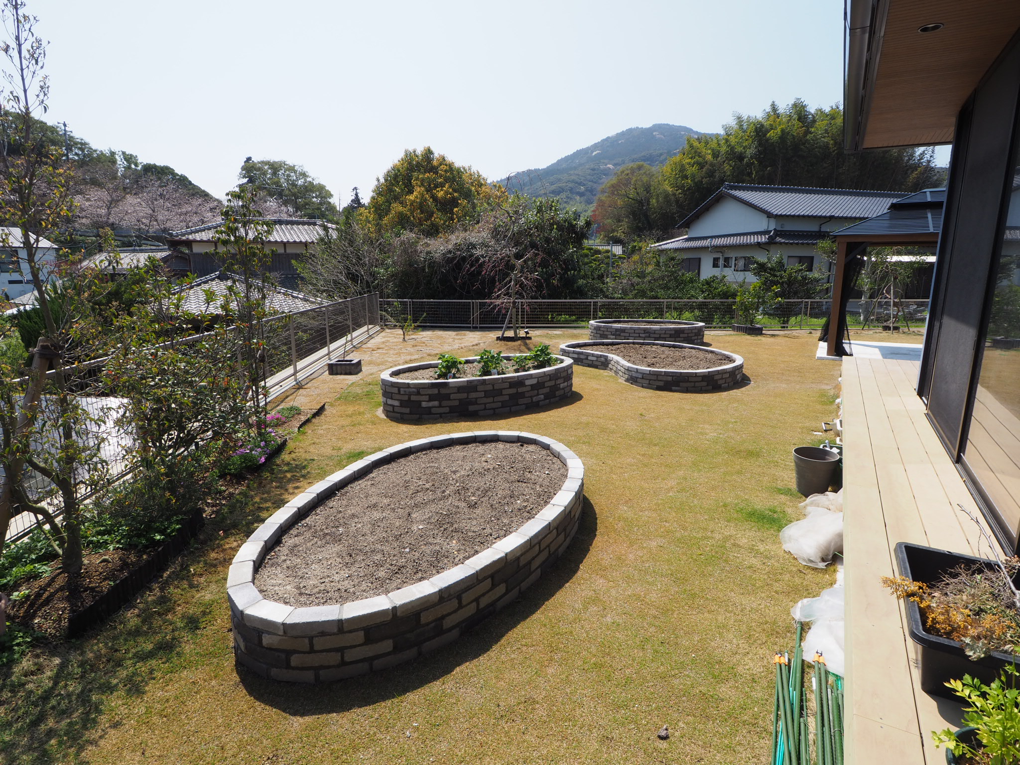 花壇の全景、家庭菜園、レモンの木