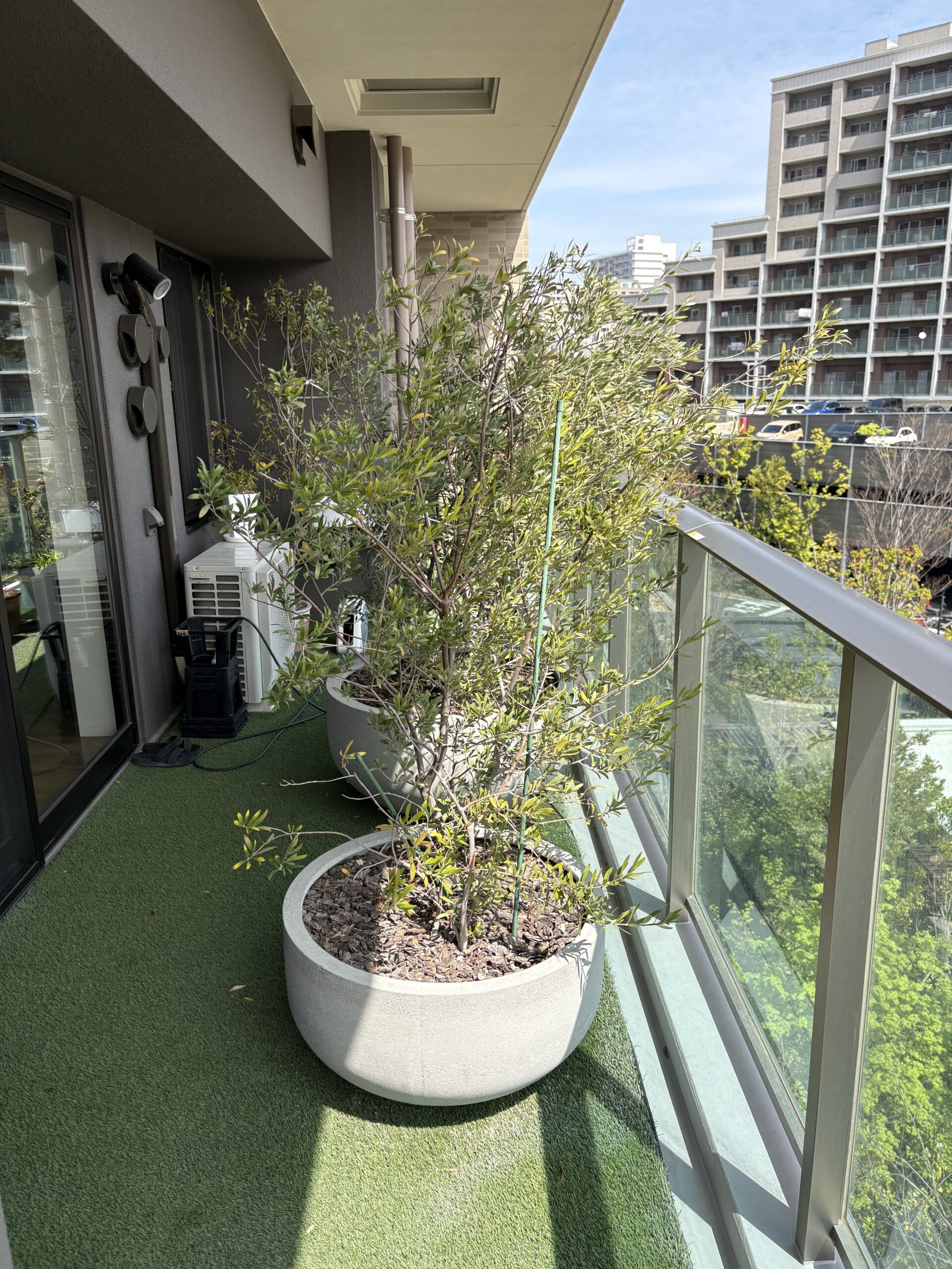 円形プランターと植栽