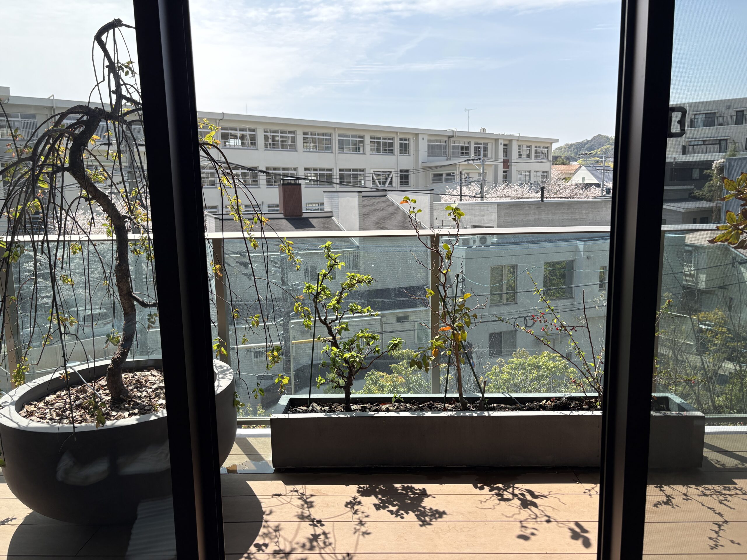 バルコニー庭園の全景